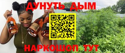 прущие грибы Пенза