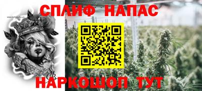 прущие грибы Пенза