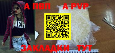 прущие грибы Пенза