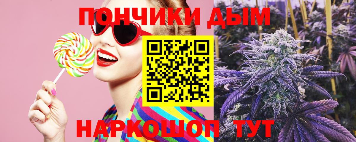 Конопля сатива Ачинск